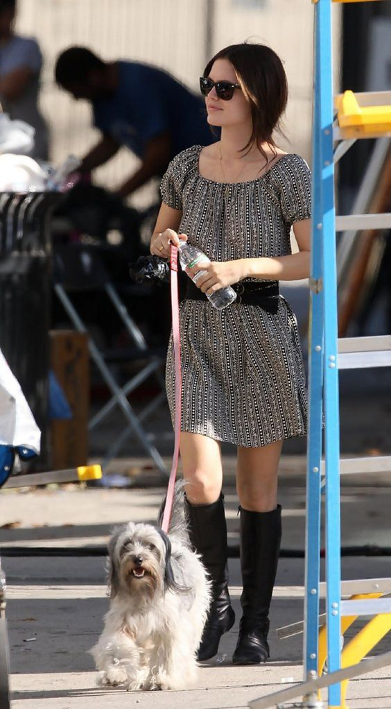 rachel bilson, companion dog, los angeles, dog breed, grey wrap skirt skirt, knitted top, black ladies high boot