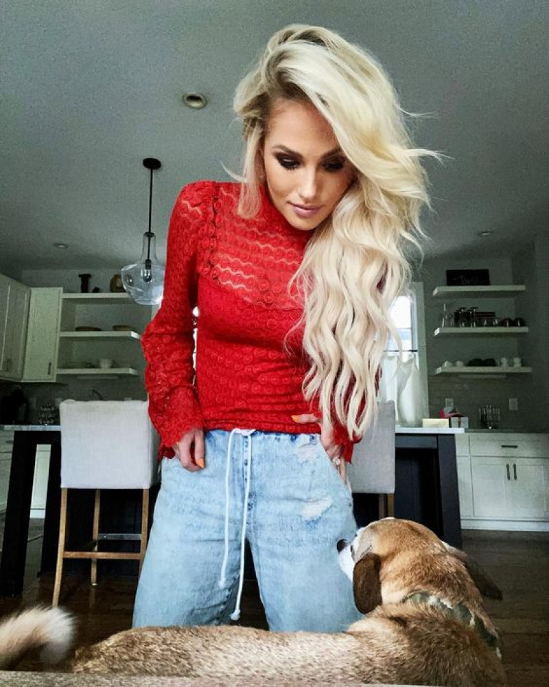 Tomi Lahren sexy lace top