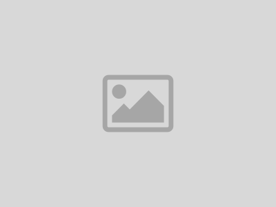 Angelica Morais Profile Picture